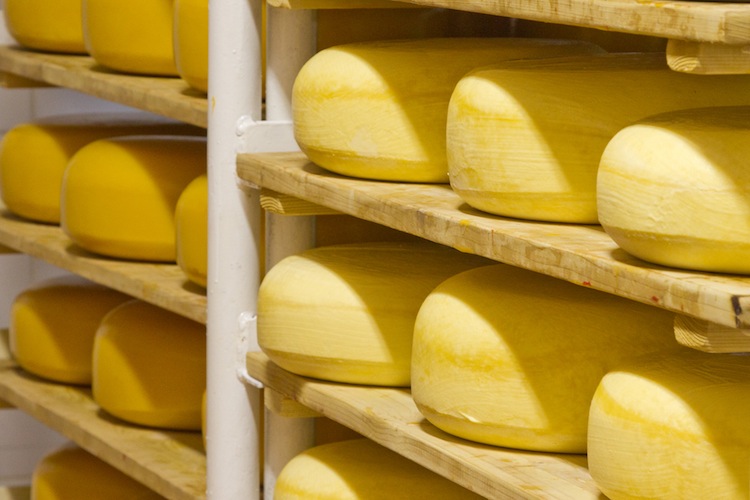 Mlékárna se stoletou historií na jejíchž sýrech si pochutnáváme rádi i dnes