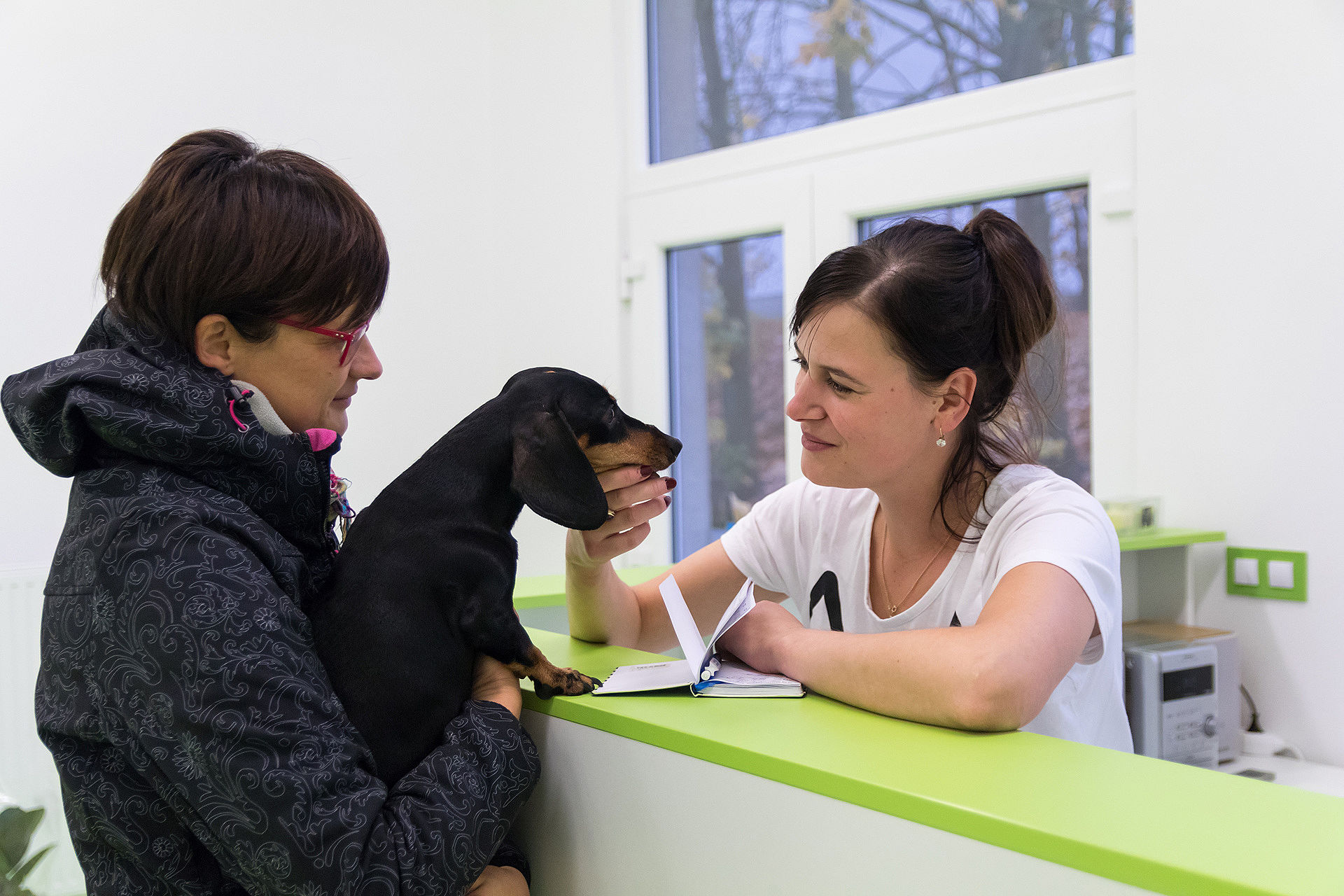 Spolehlivý veterinář zajistí dostupnou péči o vašeho mazlíčka a uleví od stresu i vám. Jak ho najít?